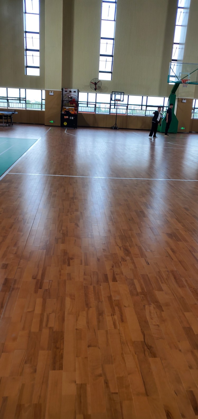 988da84d24bf285cfa7b8a8ef70893ee