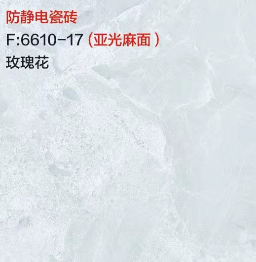 玫瑰花（哑光麻面） F：6610-17Q